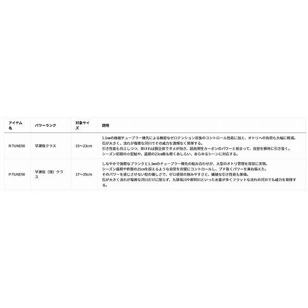 銀影競技スペシャル TYPE S PT 90・E ダイワ 秋の大感謝祭
