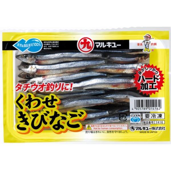 クワセキビナゴ マルキュー