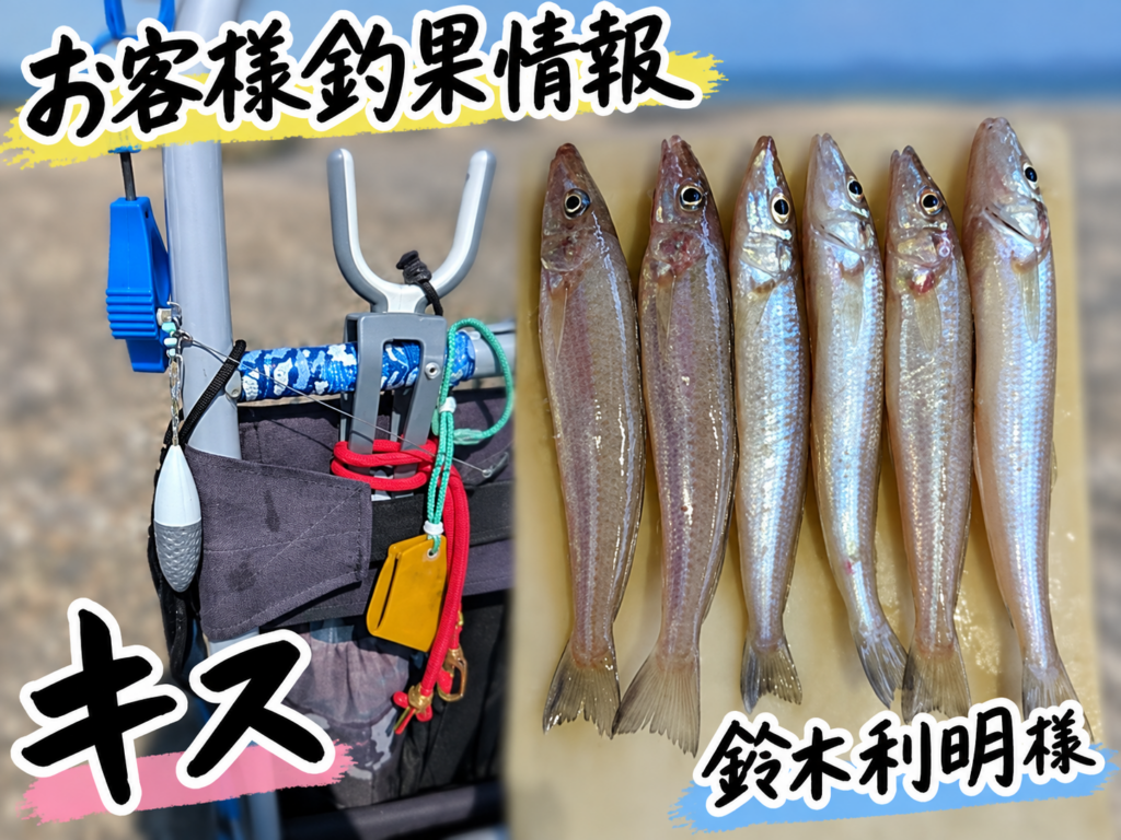 伊良湖堀切でキス35匹・最長22.7cm｜針の掛かりと波口の取り込みを考えるの釣果写真