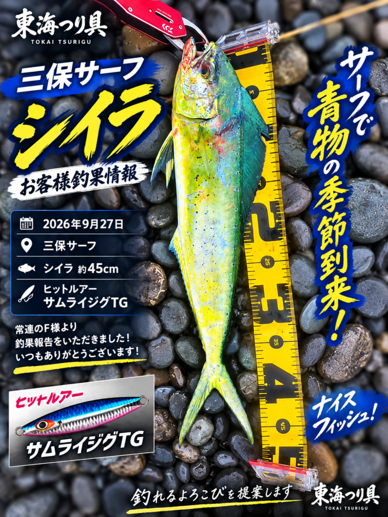 三保サーフで約45cmのシイラ｜サムライジグTGの釣果から選ぶ岸の道具の釣果写真