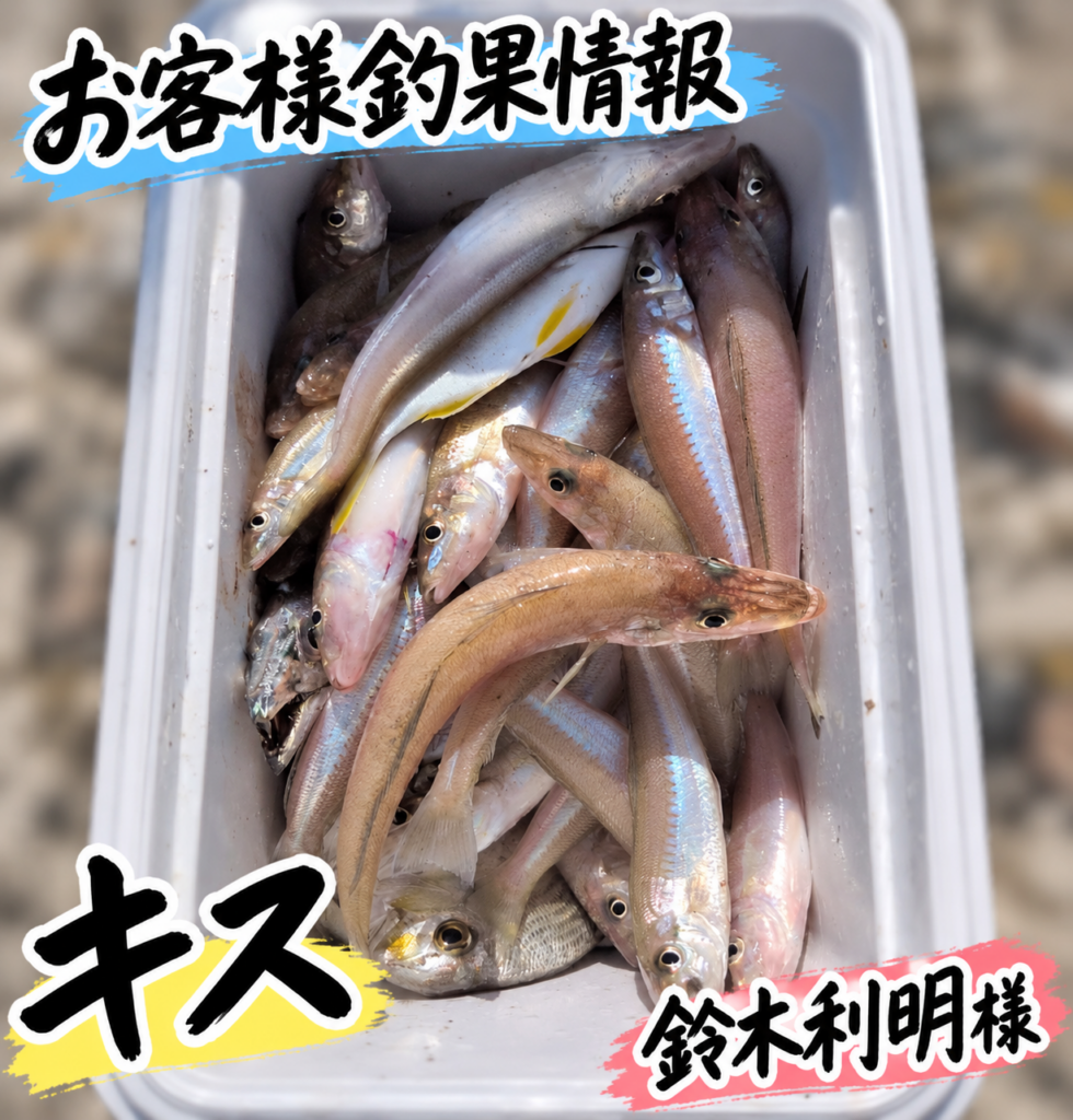 大草海岸で良型キス連掛け！お客様より釣果情報！