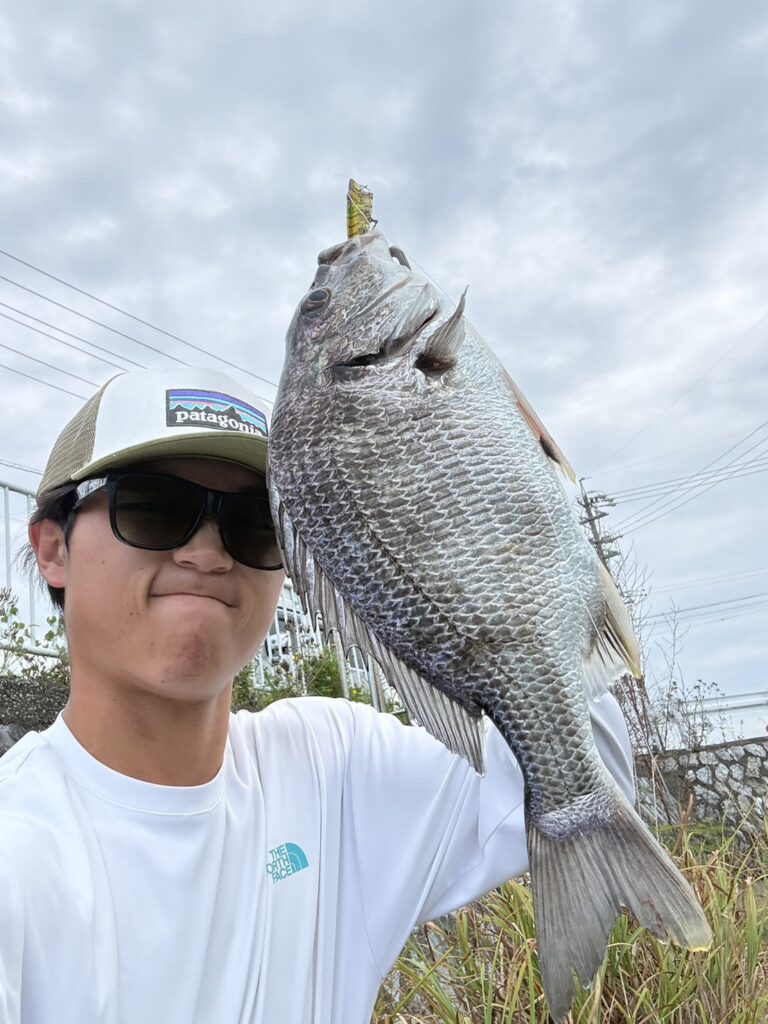 浜名湖の壁際でクロダイ・キビレ｜ラウダー50をゆっくり誘うチヌトップの釣果写真