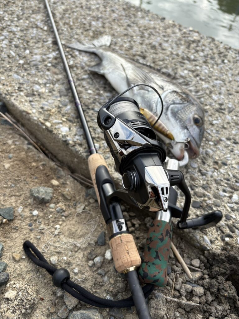浜名湖の朝チヌトップ｜試作ロッドの実釣から考えるプラグを動かす一本の釣果写真