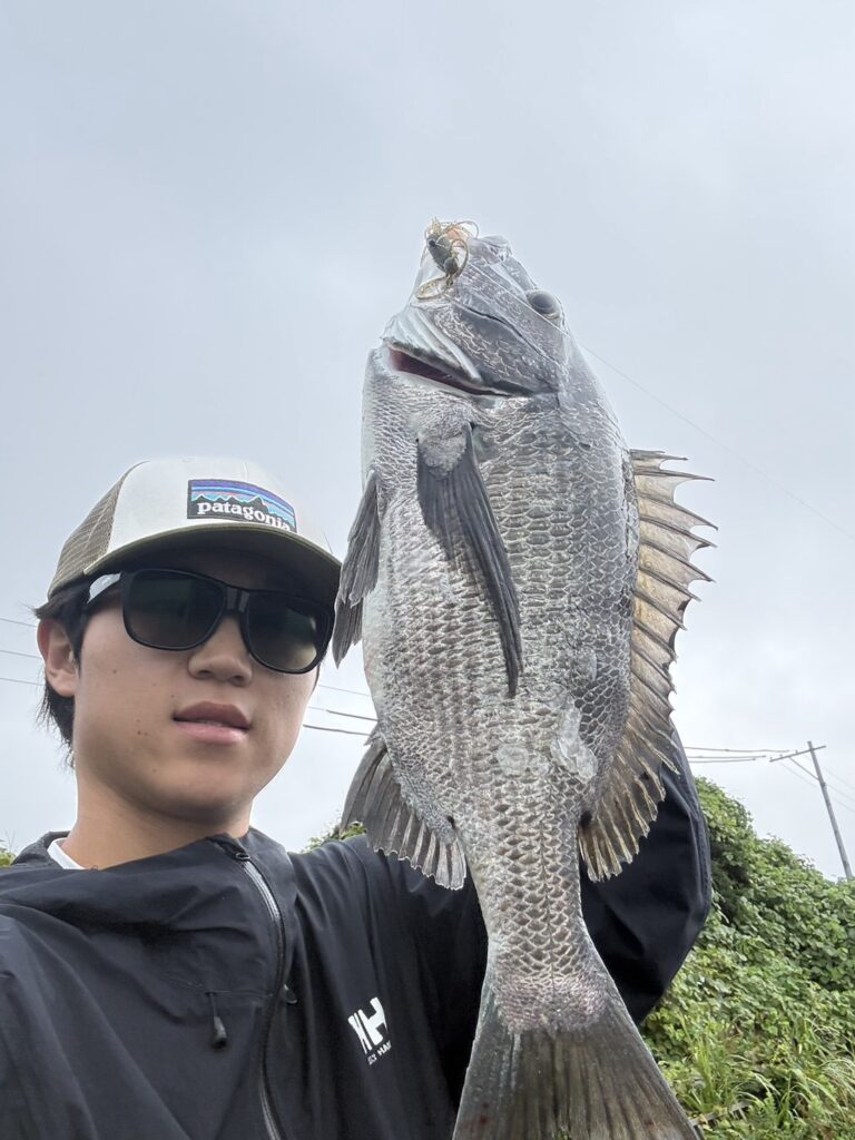 浜名湖チニングで一日7枚｜9月18日のフラッターチューブ釣果とワーム選びの釣果写真