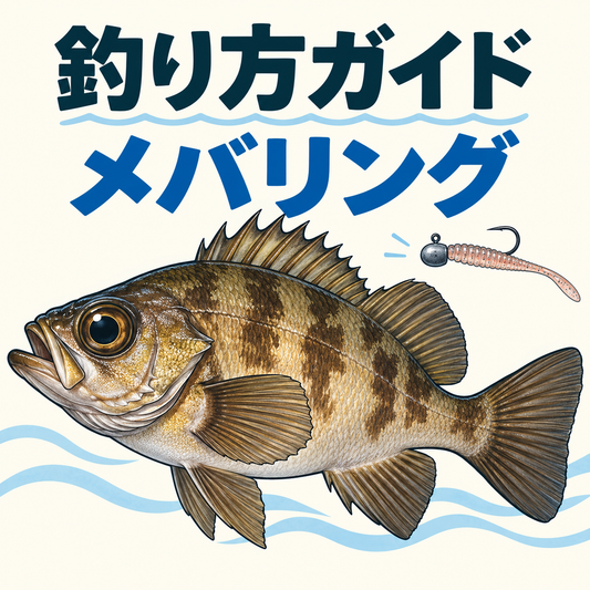 メバリングの釣り方ガイド：Japanese rockfish メバル, large eyes brown olive body spiny dorsal fin