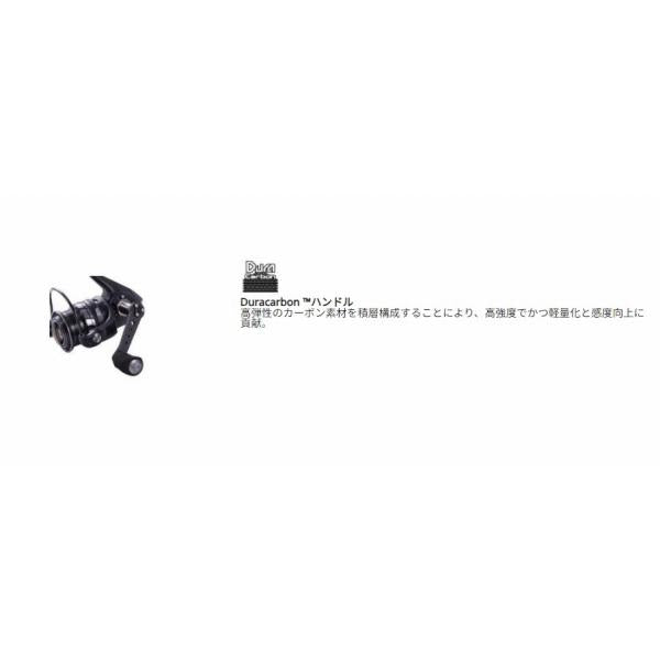 ABU ROXANI 3000SH アブガルシア 夏の大感謝祭