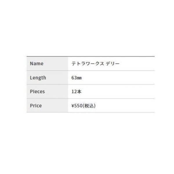 テトラワークス デリー DUO