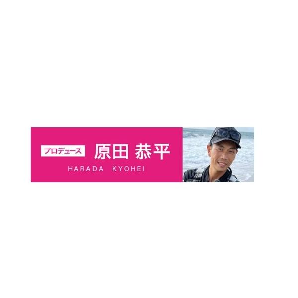 ビーチウォーカー ヴィクト105S DUO 釣り人応援セール