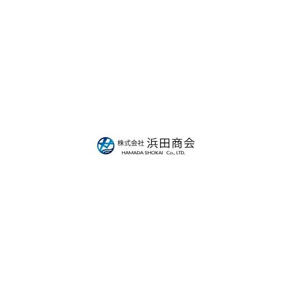 FWA019 水中型ウエーダー 浜田商会 秋の大感謝祭