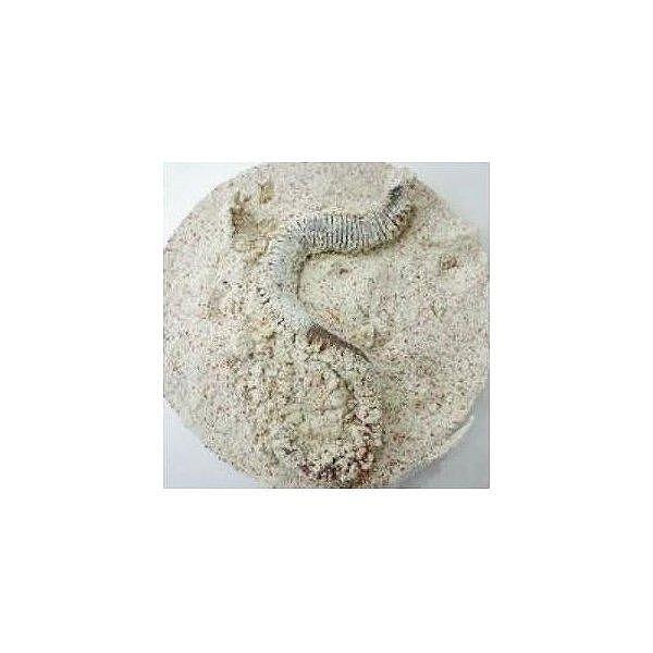 キラキラ石粉 釣工房