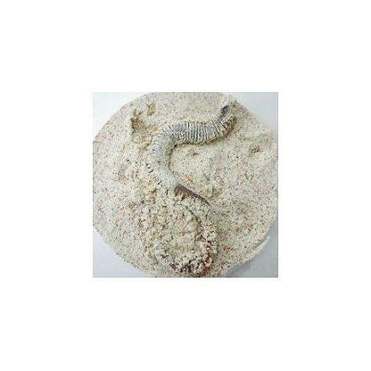 キラキラ石粉 釣工房