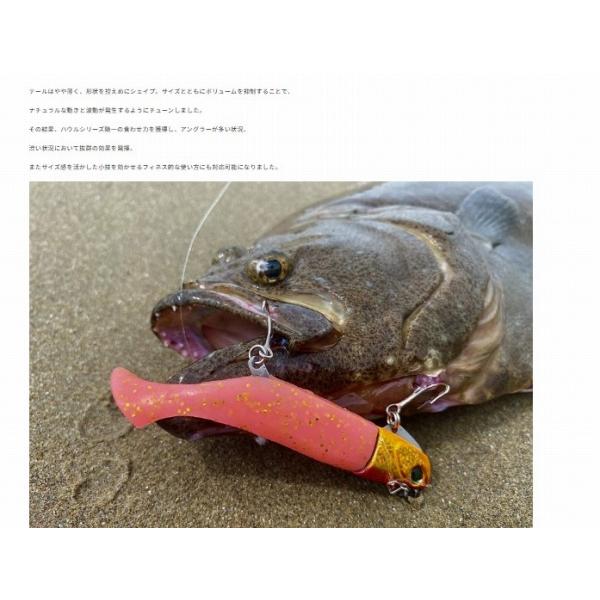 BWハウルセット14g 3インチ DUO