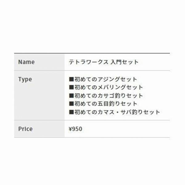 テトラワークス入門セット DUO