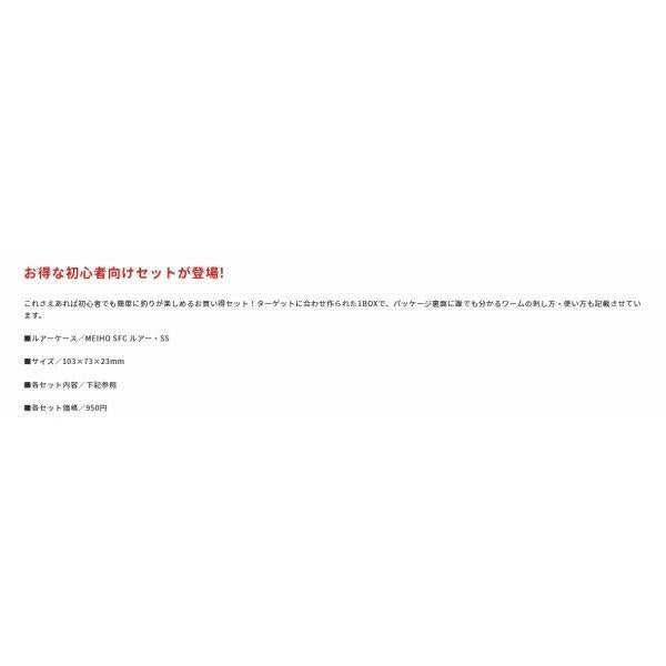 テトラワークス入門セット DUO