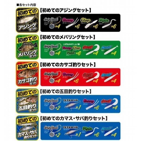 テトラワークス入門セット DUO