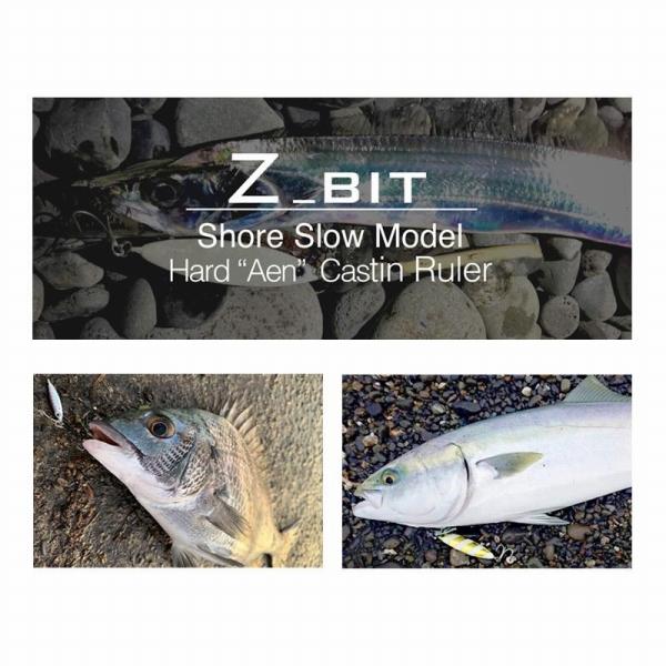 Zビット 20g ZEAK