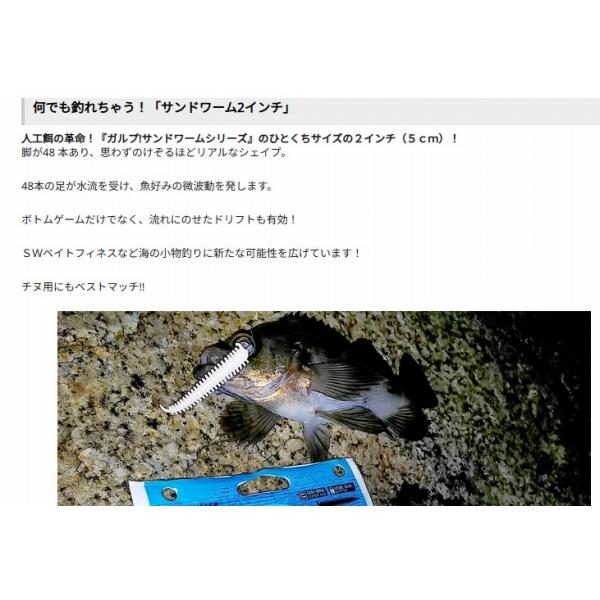ガルプ！SWサンドワーム 2 バークレー限定セール