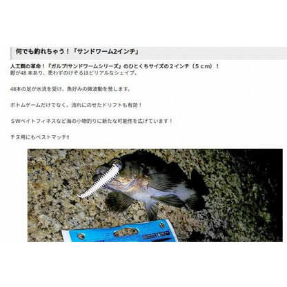 ガルプ！SWサンドワーム 2 バークレー限定セール