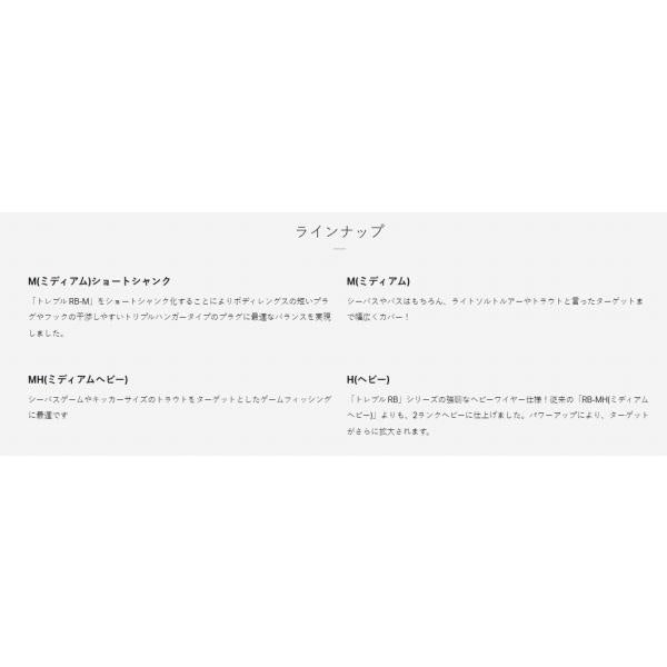 バラ トレブル RB H ハイパーシールド がまかつ 秋の大感謝祭