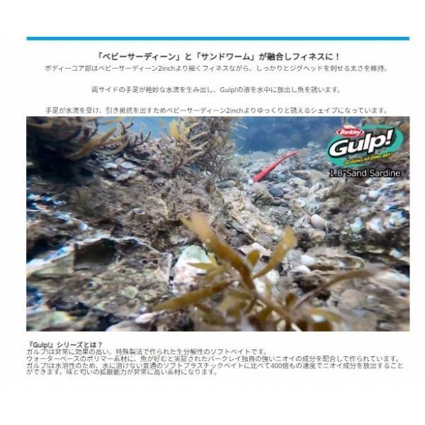PFJガルプSWサンドサーディン1.8 バークレー