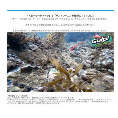 PFJガルプSWサンドサーディン1.8 バークレー