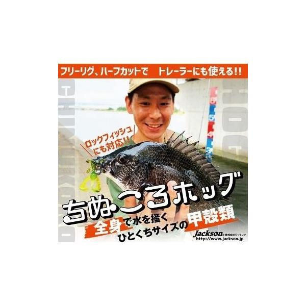 ちぬころホッグ2.6インチ ジャクソン 秋の大感謝祭