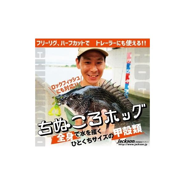 ちぬころホッグ2.6インチ ジャクソン 秋の大感謝祭