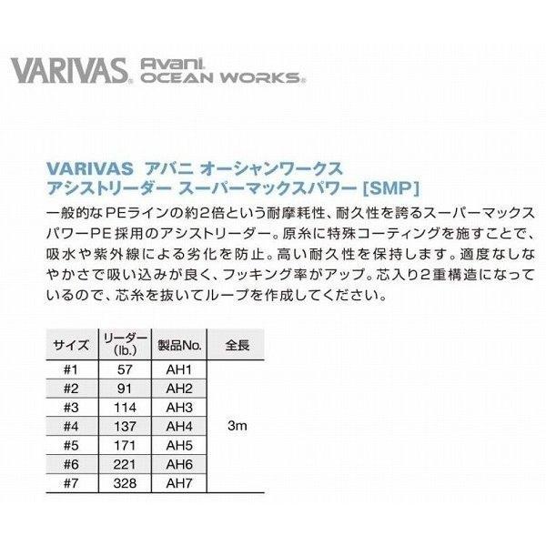 OW アシストリーダーSMP VARIVAS