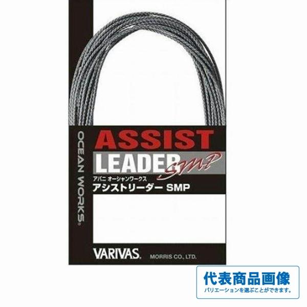OW アシストリーダーSMP VARIVAS