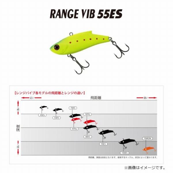 レンジバイブ55ES バスデイ