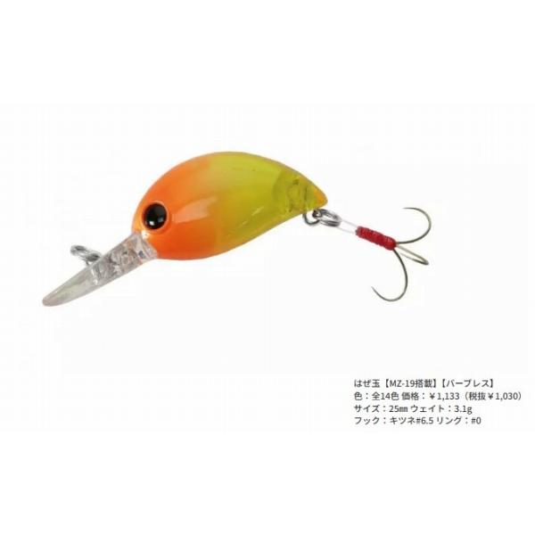 はぜ玉 25 バスデイ