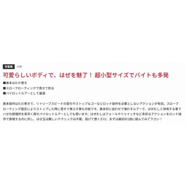はぜ玉 25 バスデイ