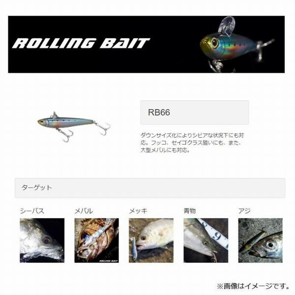 ローリングベイト ROLLING BAIT 66 タックルハウス 秋の大感謝祭