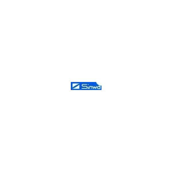 ギザギザ板オモリ 伸和