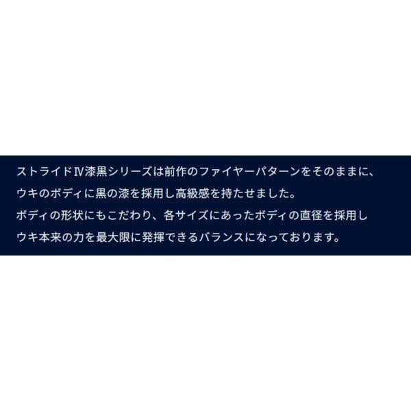 STRIDE4漆黒 浅ダナ ラインシステム 秋の大感謝祭