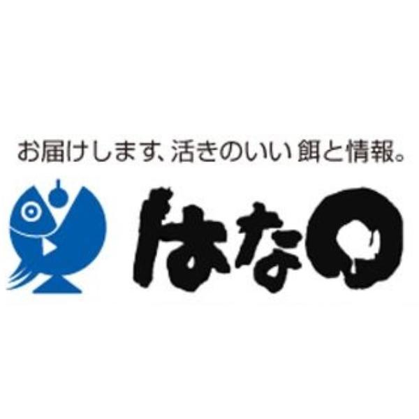 アミエビ16 はなまる