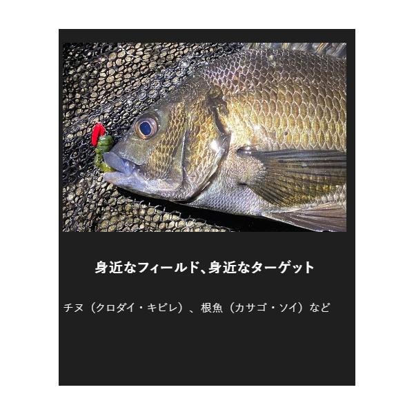 ちびチヌヘッド 7.0g ジャッカル限定セール 秋の大感謝祭
