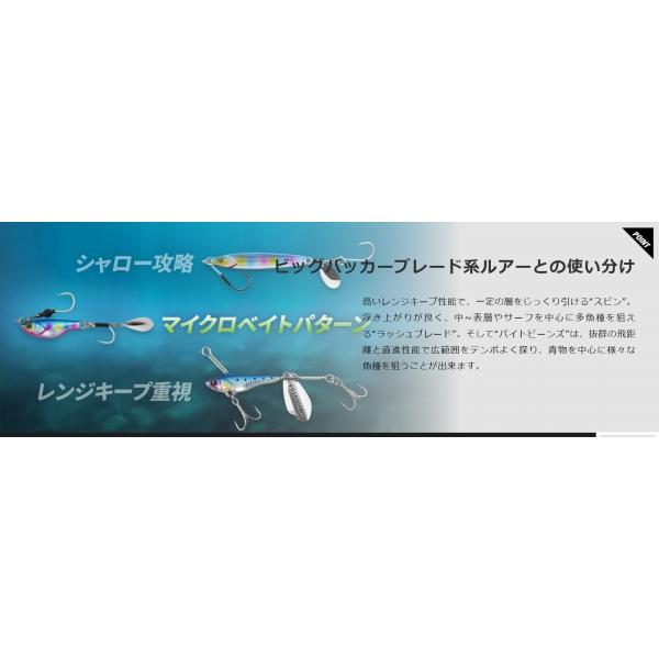 ビッグバッカー バイトビーンズ 60g ジャッカル 秋の大感謝祭