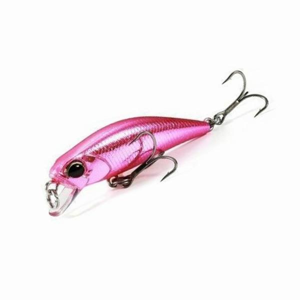 TW トト42S DUO 釣り人応援セール