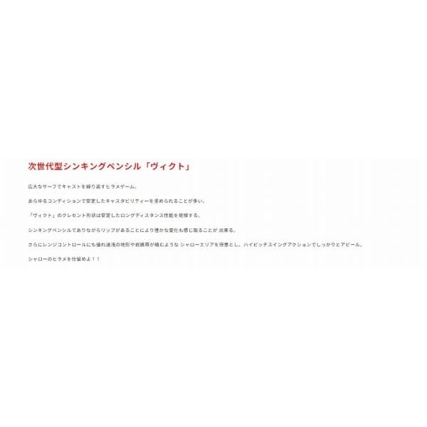 ビーチウォーカーヴィクト105S DUO