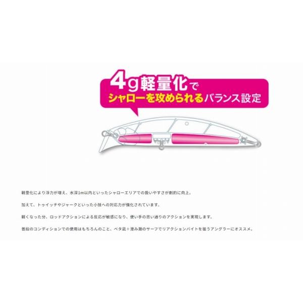 ビーチウォーカーアクシオンライト95S DUO