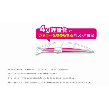 ビーチウォーカーアクシオンライト95S DUO