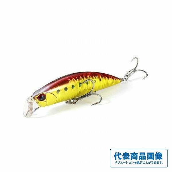 ビーチウォーカーアクシオンライト95S DUO