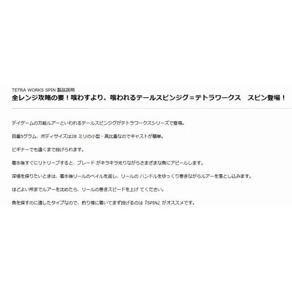 テトラワークス スピン DUO限定セール 秋の大感謝祭