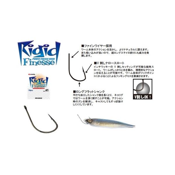 リジットフィネス ZAP 秋の大感謝祭