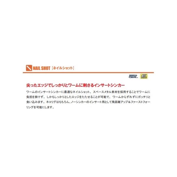 ネイルショット ZAP 秋の大感謝祭