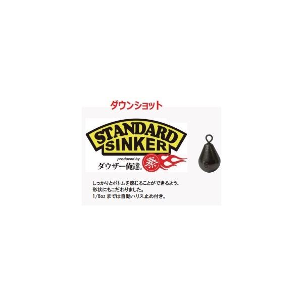スタンダードシンカー ダウンショット ZAP