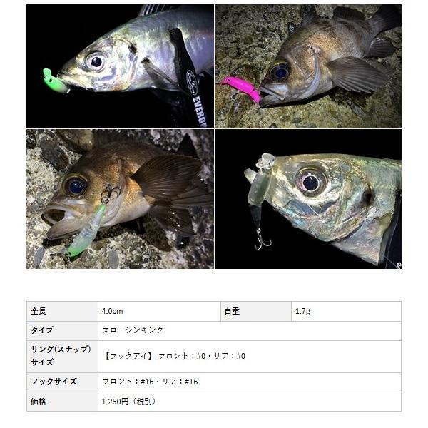 ウィグラ40 エバーグリーン 秋の大感謝祭