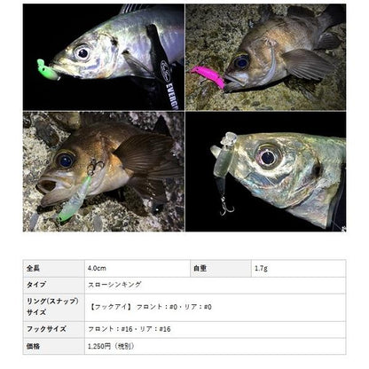 ウィグラ40 エバーグリーン 秋の大感謝祭