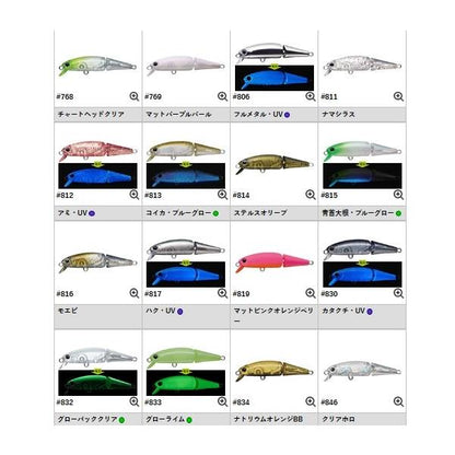 ウィグラ40 エバーグリーン 秋の大感謝祭